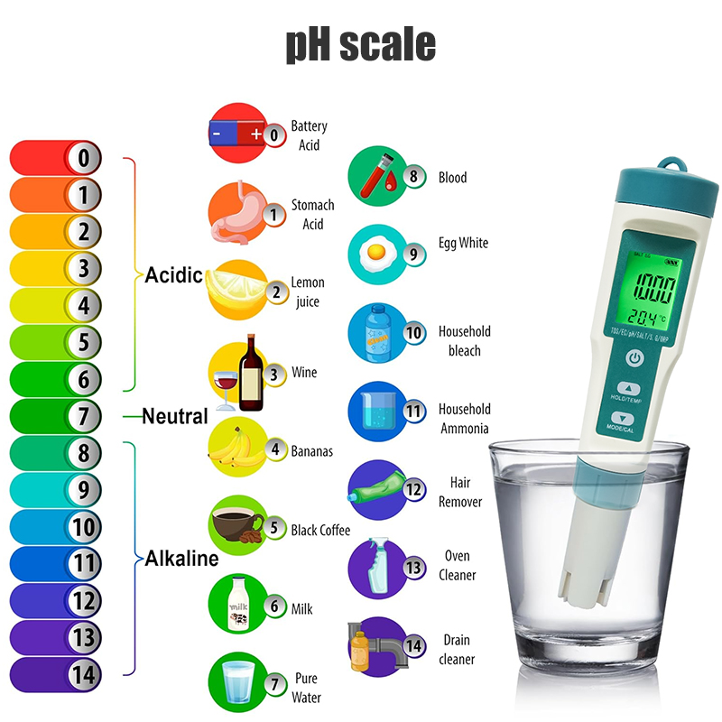 WESTTUNE Dijital PH Ölçer 7 In - Ph Meter incelemesi ve fiyatı