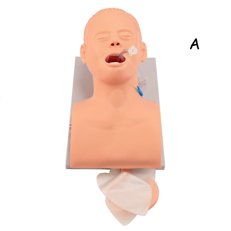 PVC Yetişkin Entübasyon Manken - Medical Lab Management incelemesi ve fiyatı