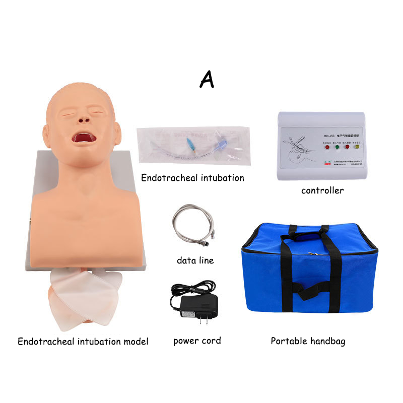 PVC Yetişkin Entübasyon Manken - Medical Lab Management incelemesi ve fiyatı