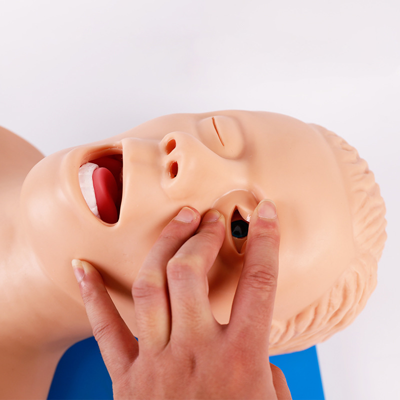 PVC Yetişkin Entübasyon Manken - Medical Lab Management incelemesi ve fiyatı